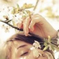 bahareh.h